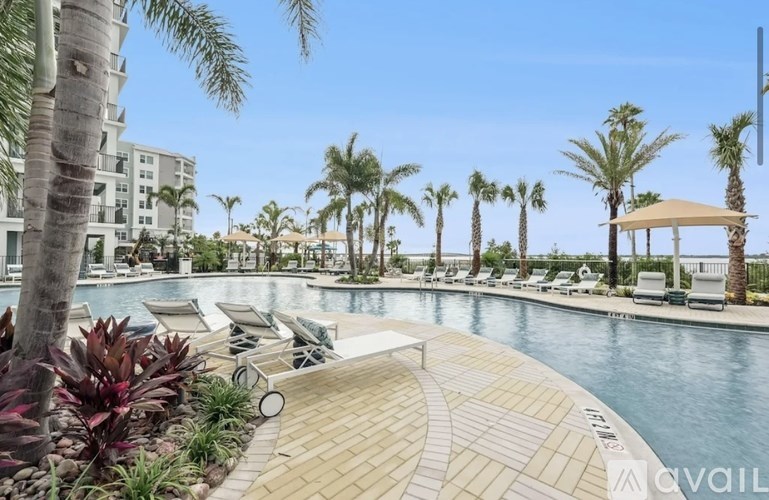 A pool surrounded by palm trees and lounge chairs.