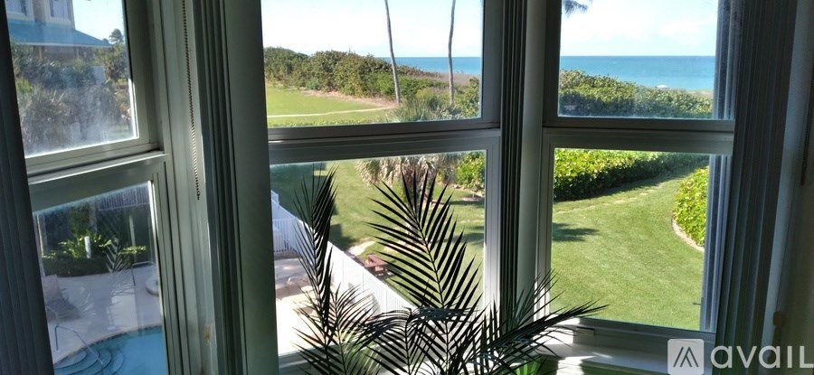 A window with a view of a pool and a palm tree.