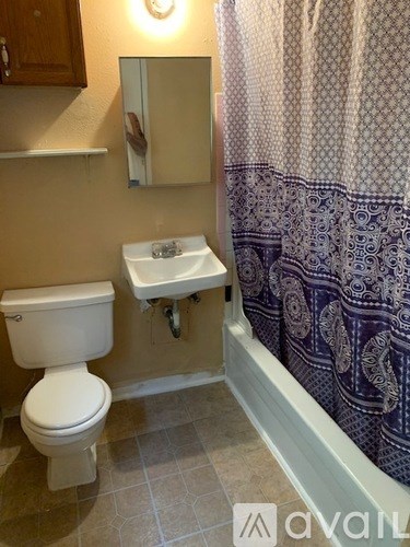 A bathroom with a toilet, sink, and shower curtain.