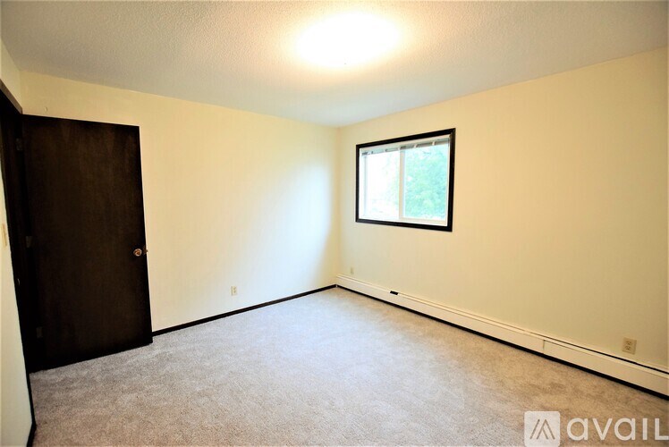 A room with a carpeted floor, a window, and a door.