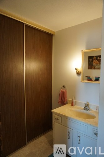 A bathroom with a sink and a brown door.
