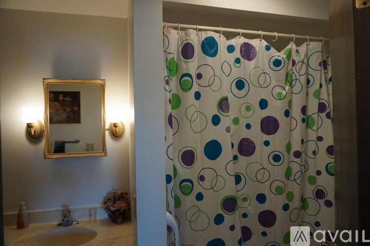 A bathroom with a shower curtain and a mirror.