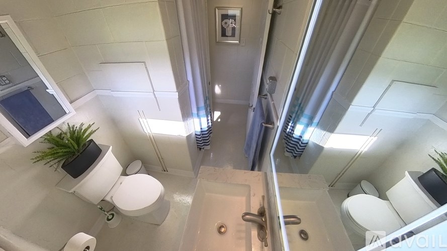 A white bathroom with a toilet, sink, and a plant.