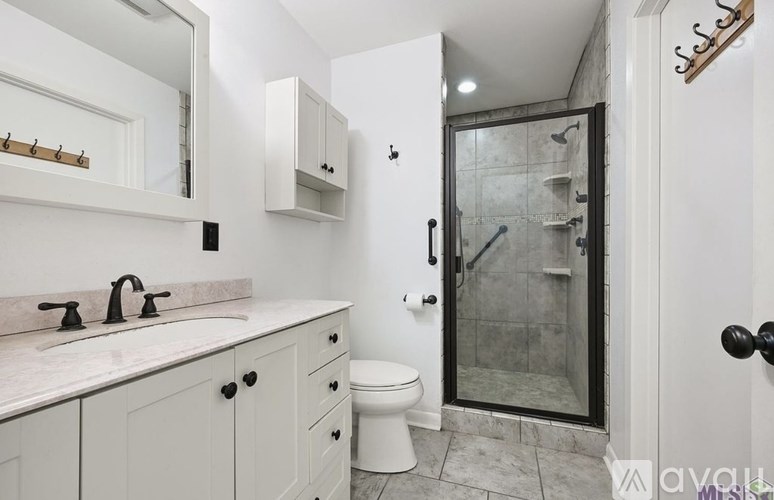 A bathroom with a white sink and a walk-in shower.