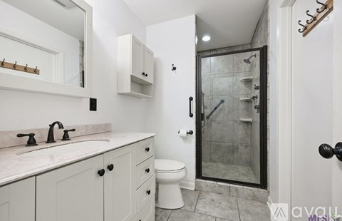 A bathroom with a white sink and a walk-in shower.