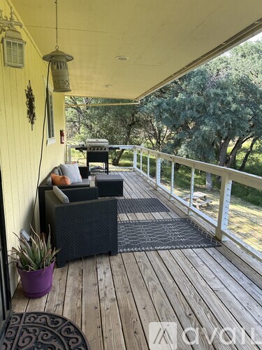 A wooden deck with a couch and a potted plant.