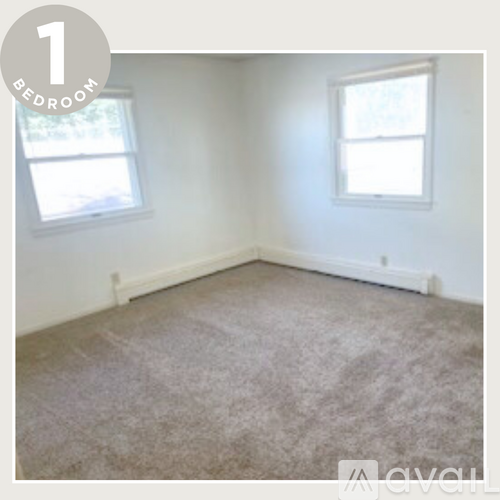 A bedroom with a carpeted floor and two windows.
