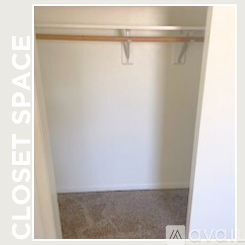 A closet space with a shelf and a carpeted floor.