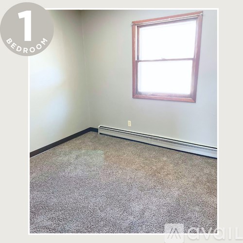 A bedroom with a window and carpeted floor.