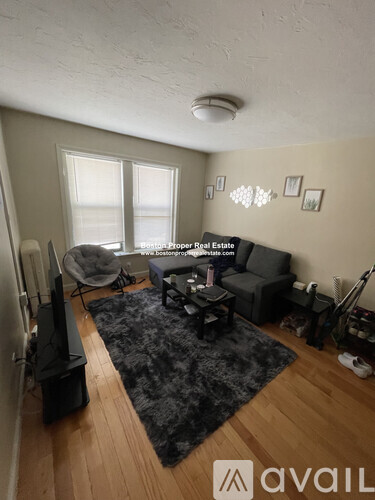 A living room with a black rug and a television.