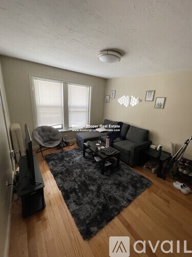 A living room with a black rug and a television.