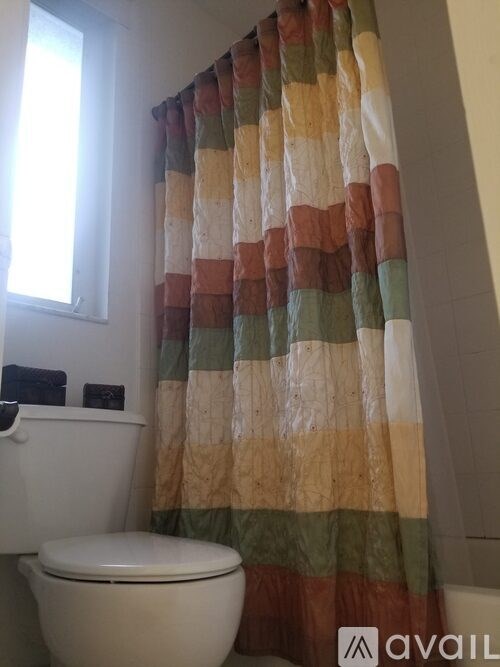 A toilet with a shower curtain in front of it.