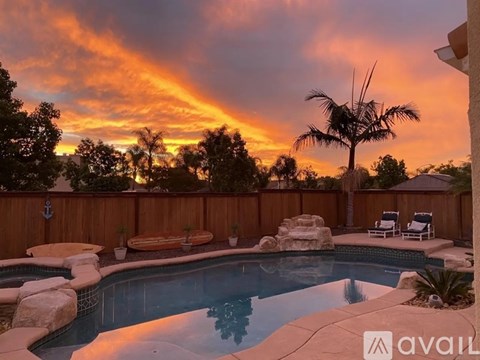 A pool surrounded by a wooden fence with a palm tree in the background.