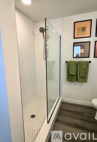 A bathroom with a walk in shower and a toilet.