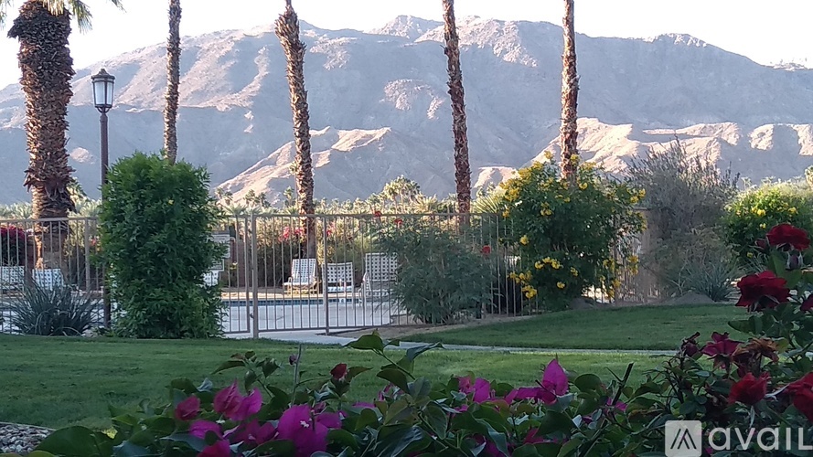 A mountain range is in the background of a park with palm trees and flowers.