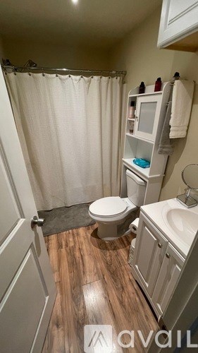 A bathroom with a toilet, sink, and shower curtain.