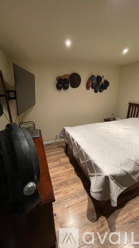 A bedroom with a bed, a television, and a wall-mounted shoe rack.