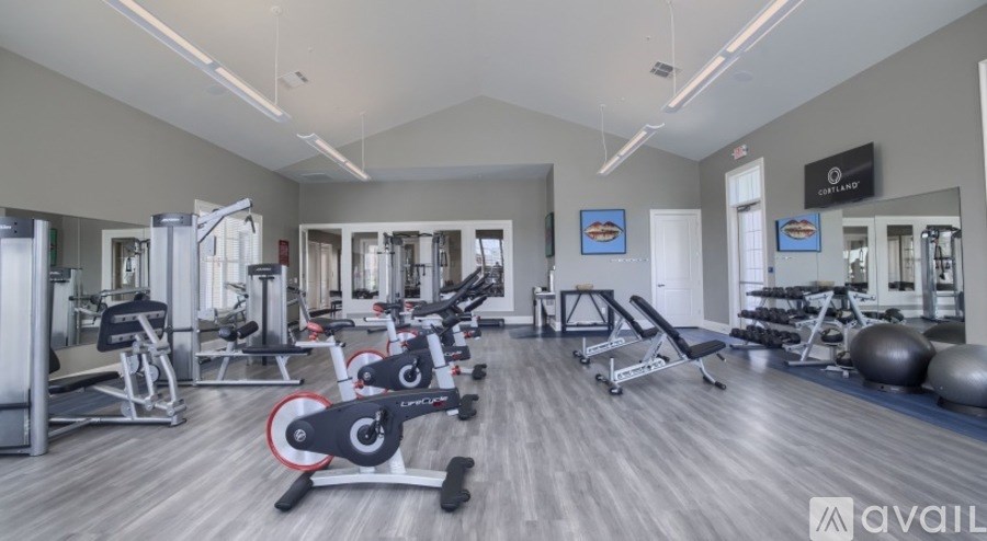 A gym with a variety of equipment including treadmills, weights, and exercise balls.