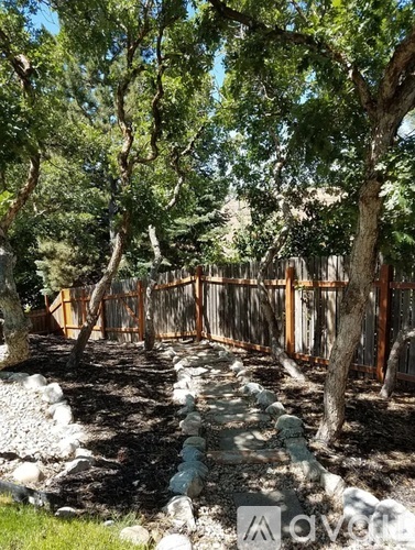 A pathway lined with rocks and trees in a yard.