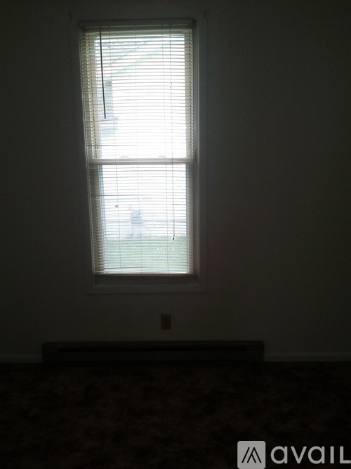 A window with blinds in a room with a carpeted floor.