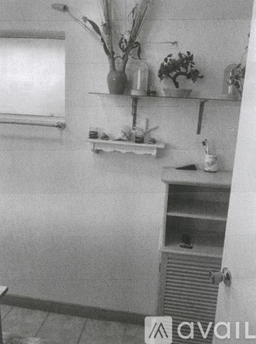 A room with a shelf and a plant on it.