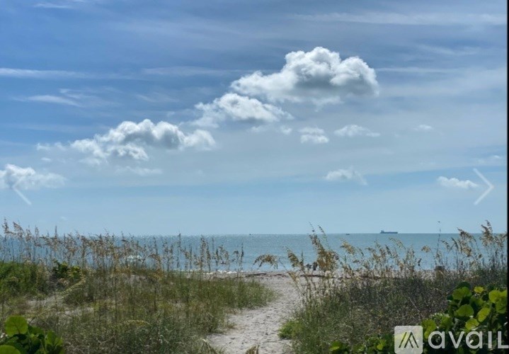 A beach scene with a path leading to the water.