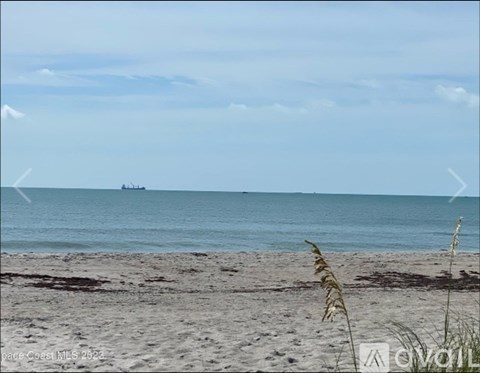 A beach with a ship in the distance and grass in the foreground.