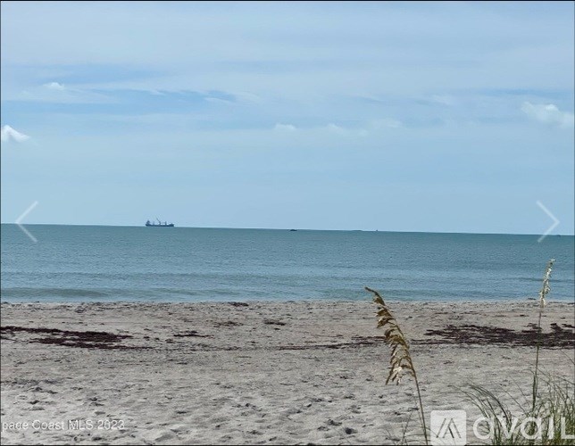 A beach with a ship in the distance and grass in the foreground.