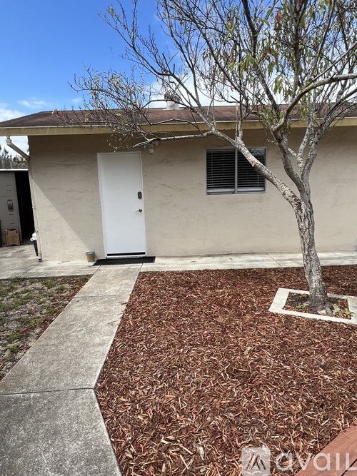 A small tree is planted in a square planter in front of a house.
