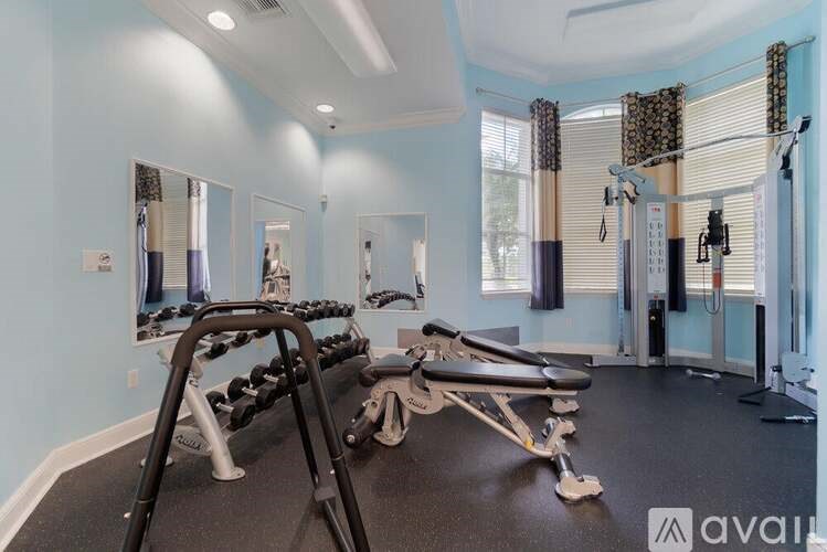 A gym with a mirrored wall and a row of dumbbells.