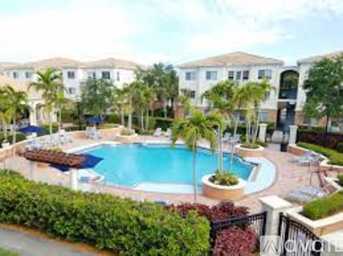 A swimming pool surrounded by a green hedge and palm trees.