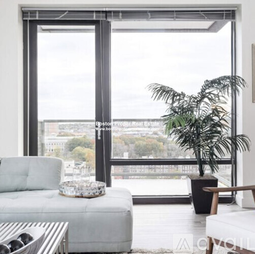 A living room with a white couch, a coffee table, and a potted plant.