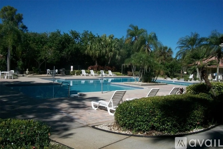 A pool surrounded by trees and bushes with sun loungers.