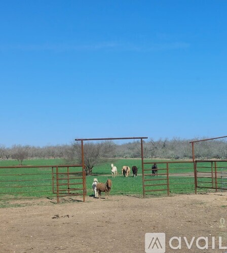 A metal gate is in the foreground of a field with cows in the background.