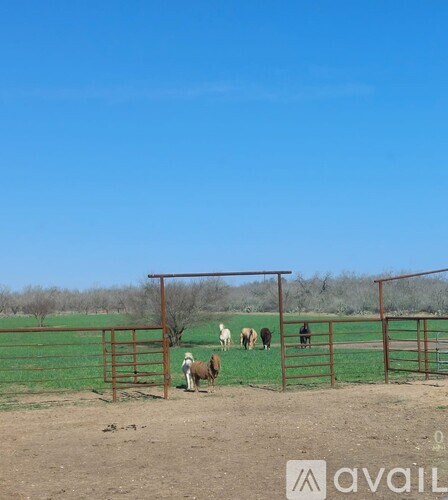 A metal gate is in the foreground of a field with cows in the background.
