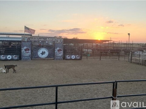 A dog is standing in a fenced area with a sunset in the background.