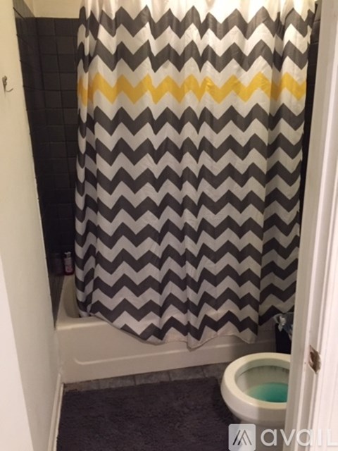 A bathroom with a shower curtain and a toilet.