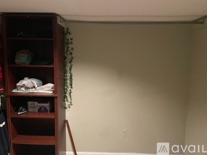 A room with a wooden shelf and a green plant.