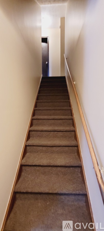 A long staircase with a carpeted runner and wooden handrails.