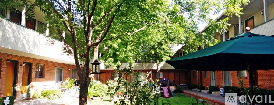 A tree in a courtyard surrounded by buildings.