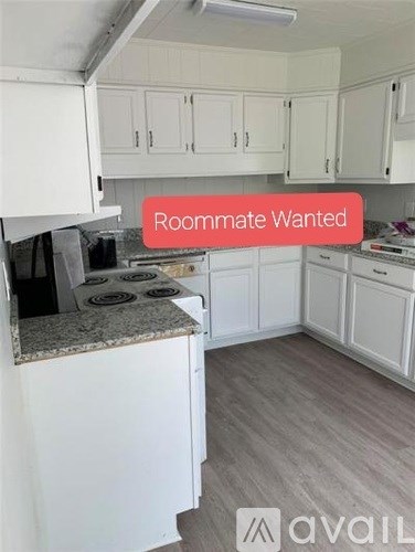 A kitchen with a countertop and cabinets is available for rent.