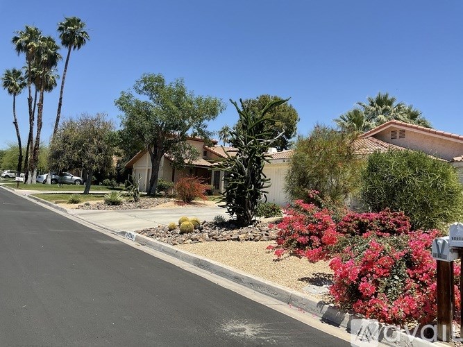 A street view of a residential area with houses and palm trees.