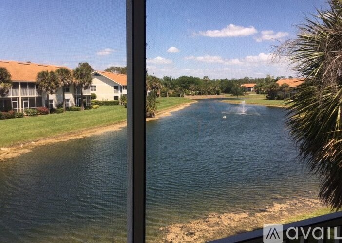 A view of a lake from a window with a building and palm trees in the background.