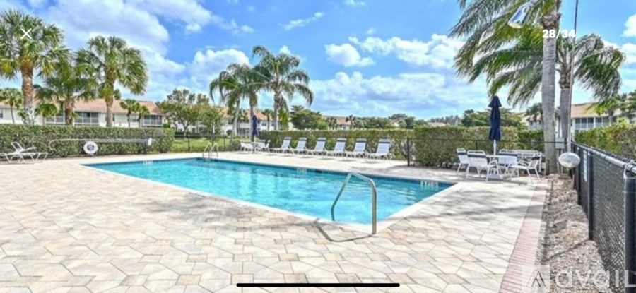 A pool surrounded by palm trees and lounge chairs.