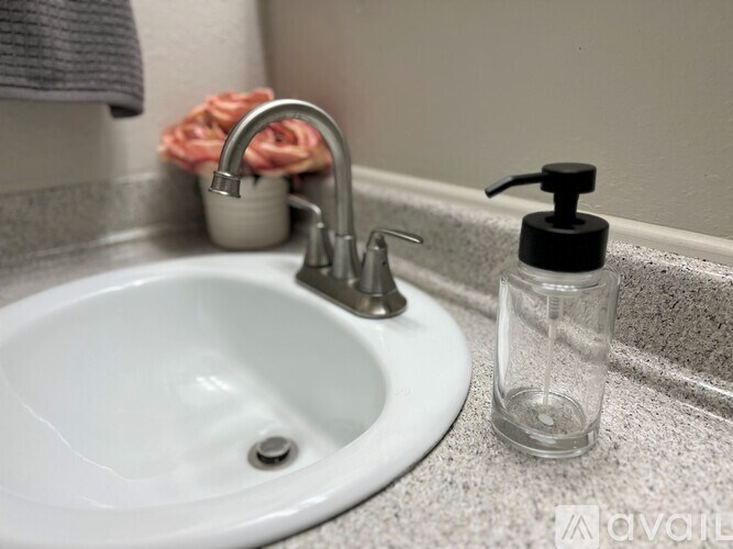 A white sink with a soap dispenser and a rose in the background.