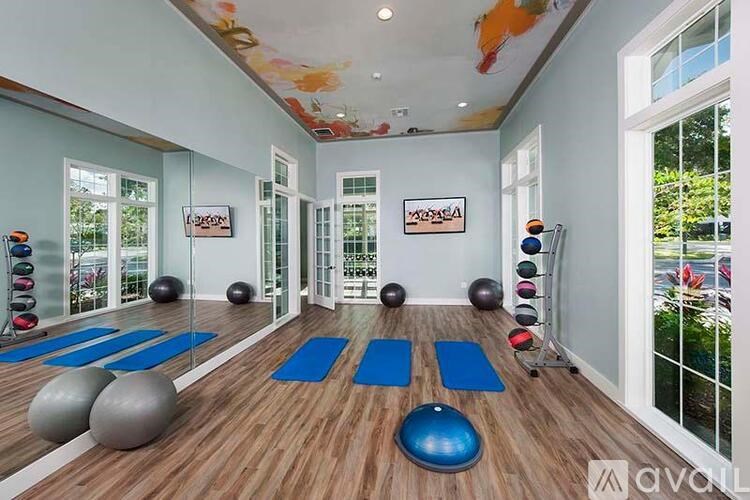 A gym with blue mats and exercise balls.