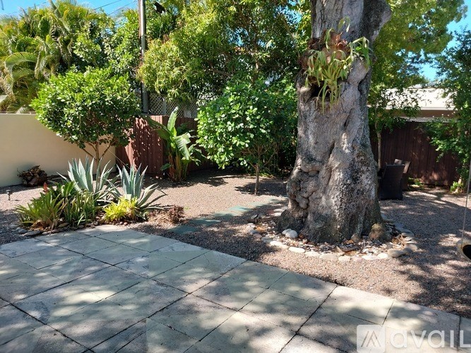 A tree trunk with a plant growing on it is in the middle of a paved area.