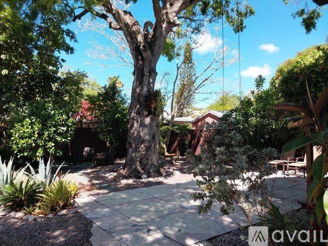 A tree in a yard with a swing hanging from it.
