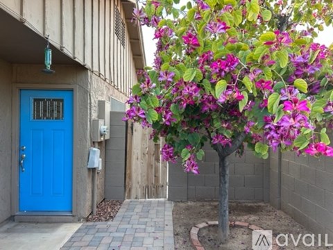 A tree with purple flowers is in front of a blue door.