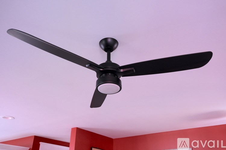 A black ceiling fan with a light is mounted on a white ceiling.
